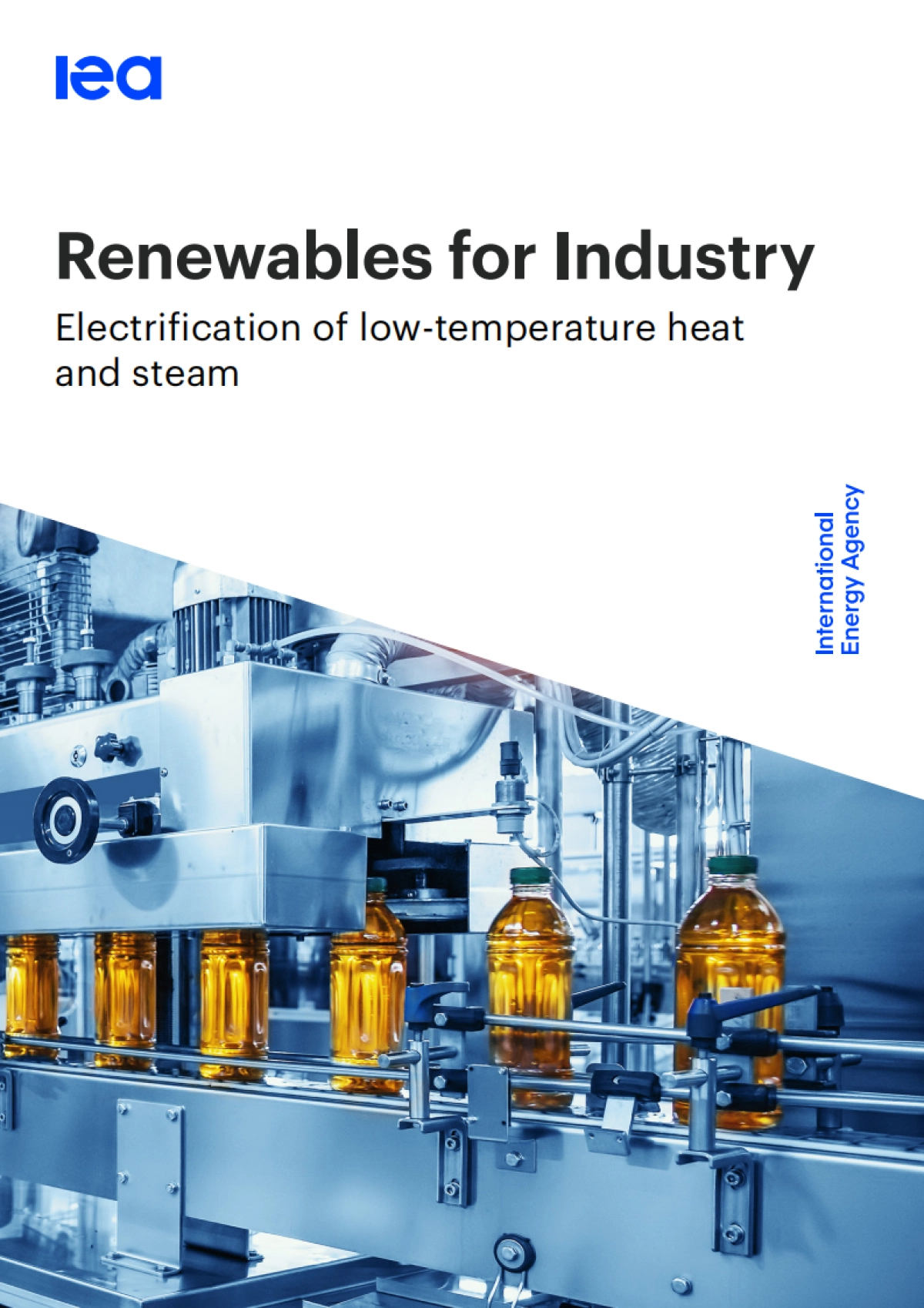 2025年工业领域可再生能源应用：低温热能及蒸汽电气化研究报告（英文版）-IEA国际能源署.pdf_第1页