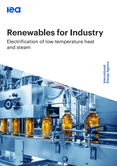 2025年工业领域可再生能源应用：低温热能及蒸汽电气化研究报告（英文版）-IEA国际能源署.pdf