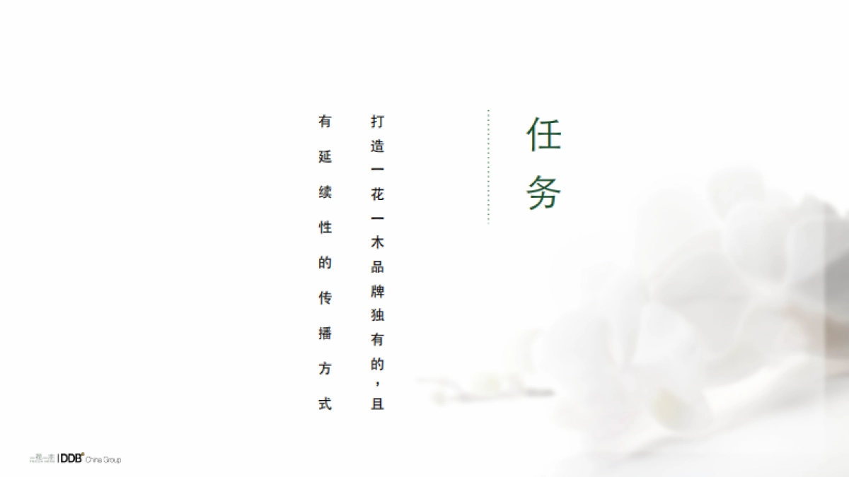 【DDB】一花一木年度传播方案-99P_第2页