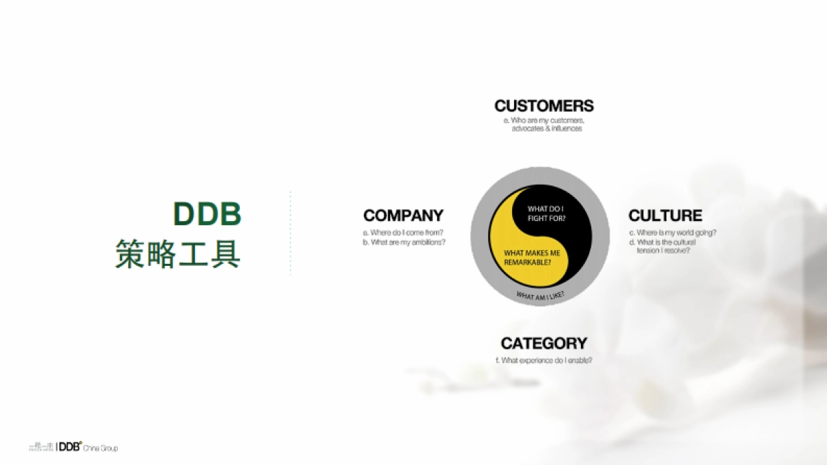 【DDB】一花一木年度传播方案-99P_第5页