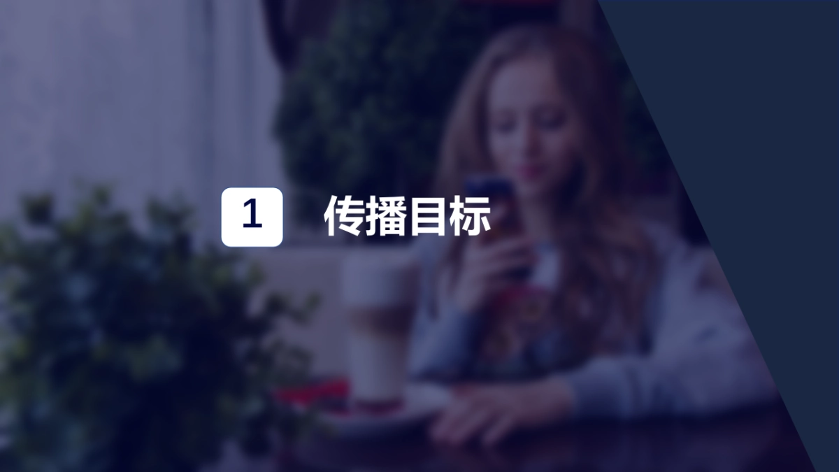 【瀚海博联呈报】百度手机输入法游戏键盘发版新媒体营销方案_第3页