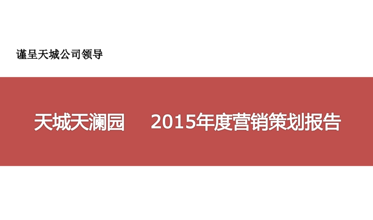 2015年度营销提报_第1页