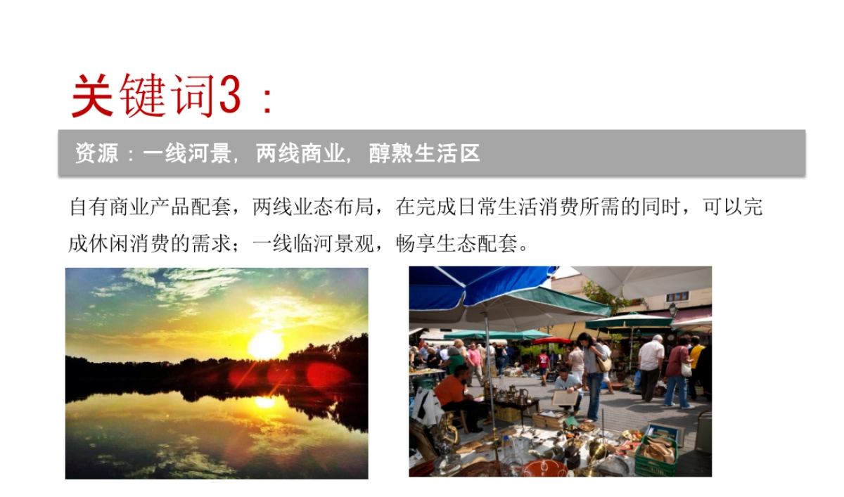 2015年度营销提报_第10页