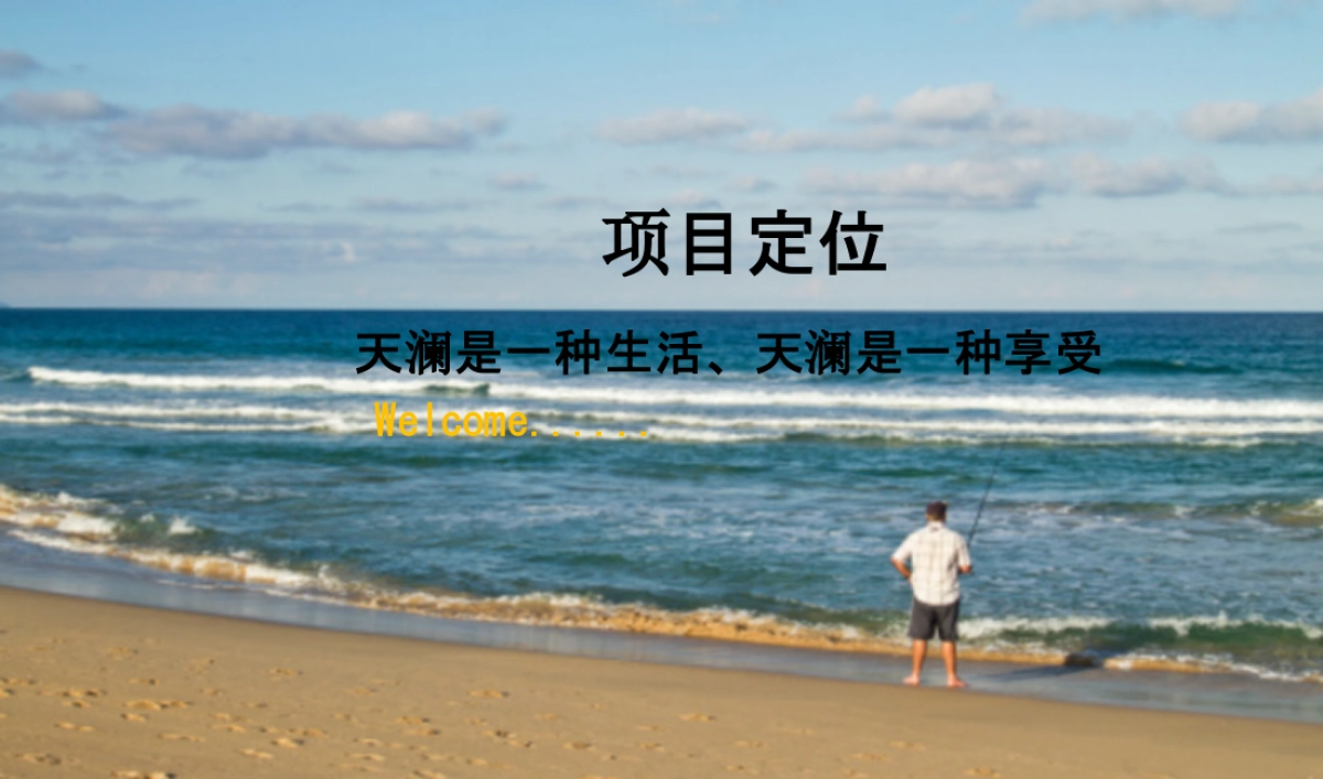 2015年度营销提报_第4页