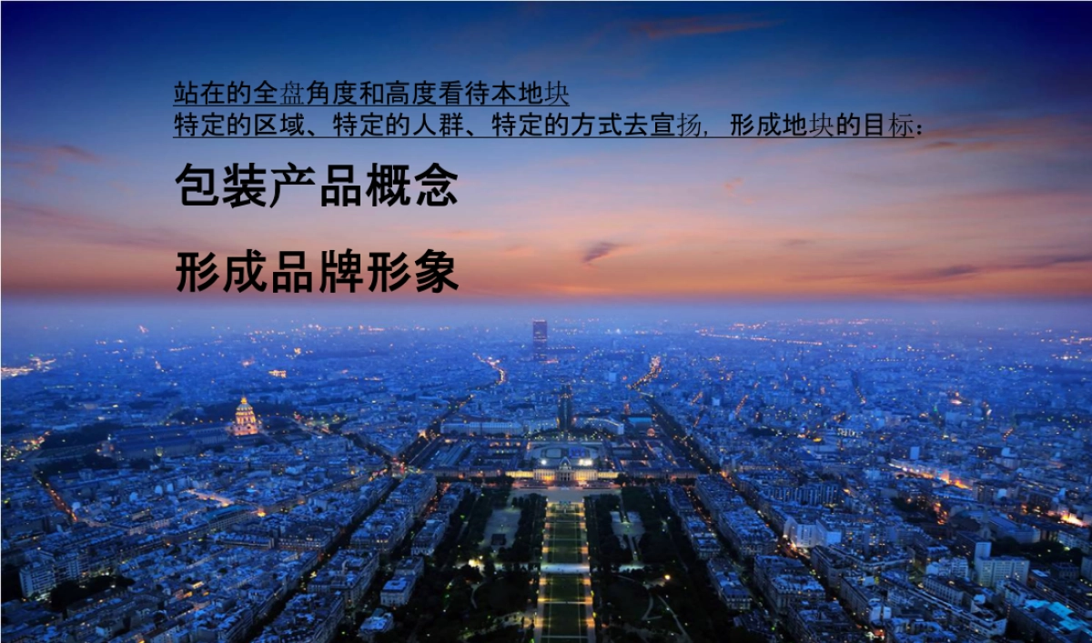 2015年度营销提报_第5页