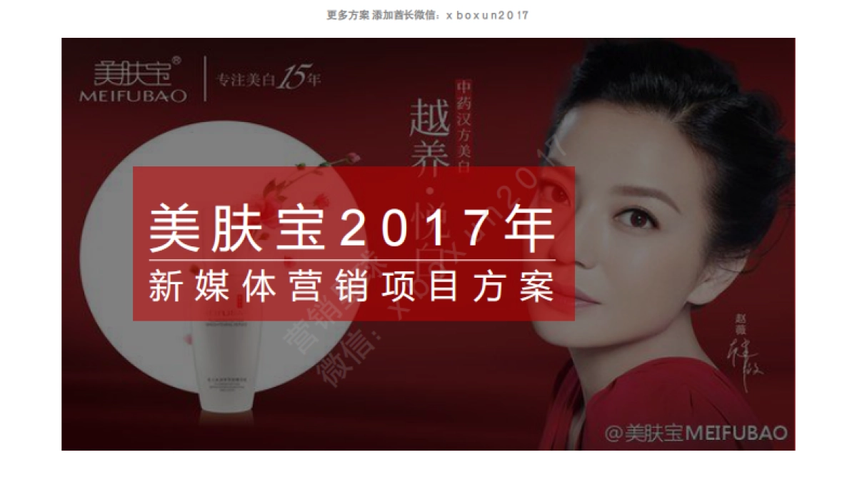 2017 美肤宝 新媒体营销方案_第1页