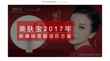 2017 美肤宝 新媒体营销方案
