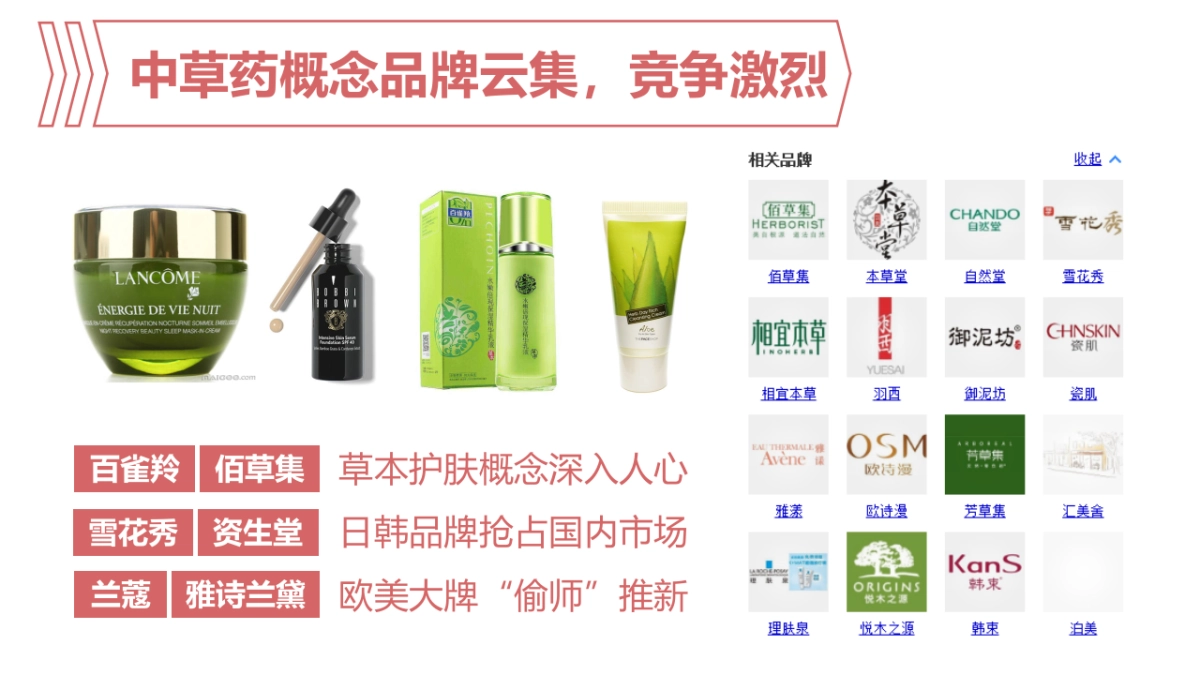 萃雅策略部分_第10页