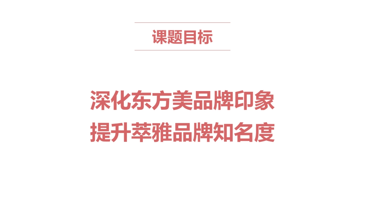 萃雅策略部分_第4页