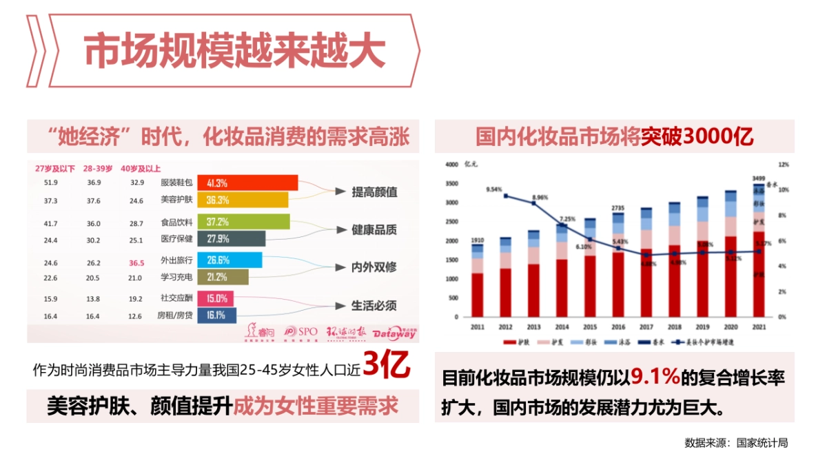 萃雅策略部分_第8页