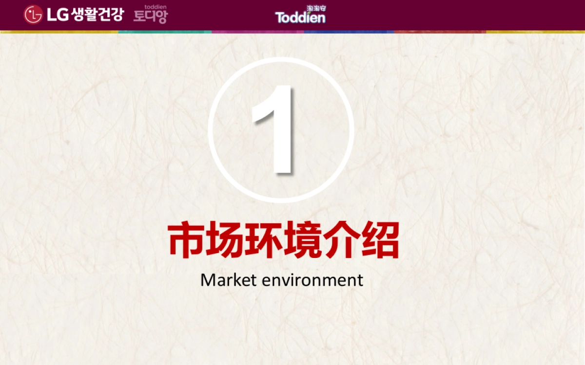 2017LG淘淘安系列产品互联网营销规划_第3页