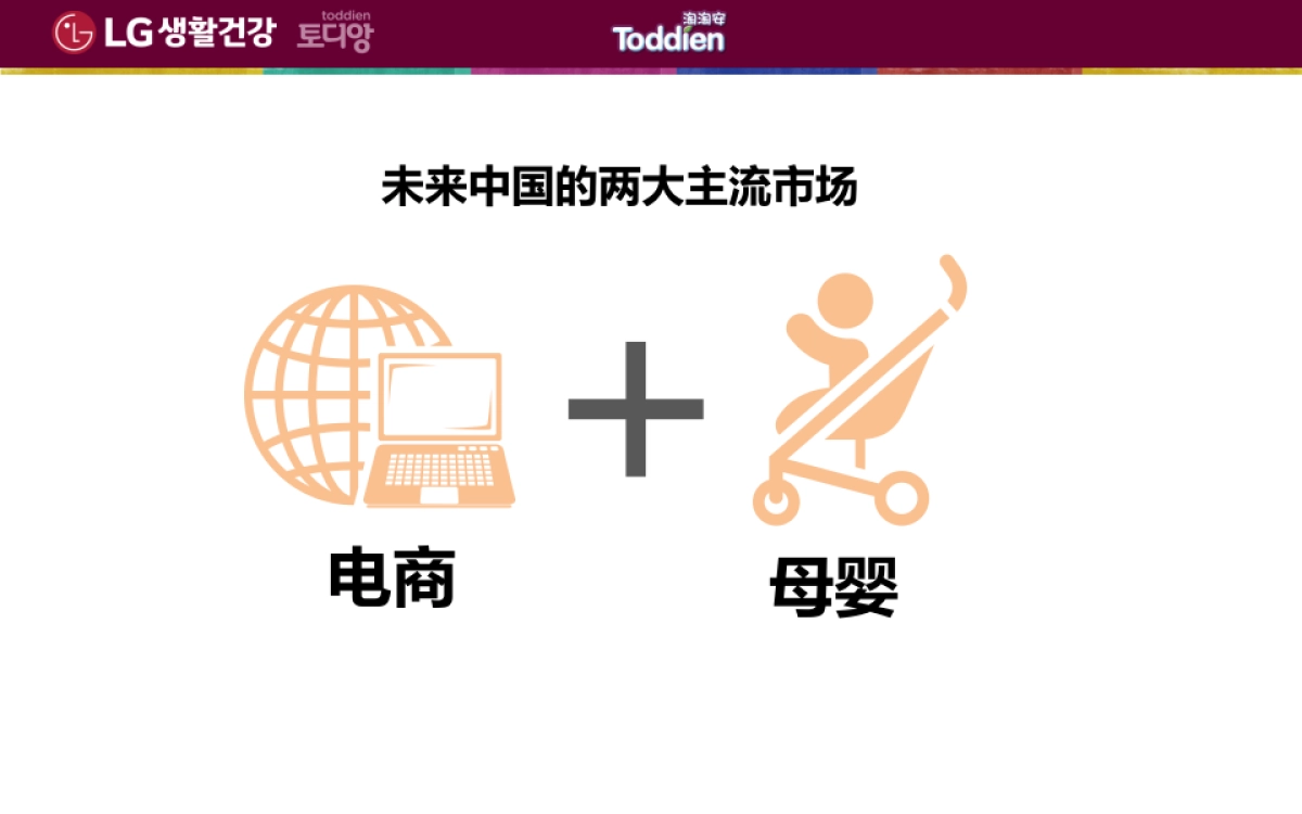 2017LG淘淘安系列产品互联网营销规划_第4页