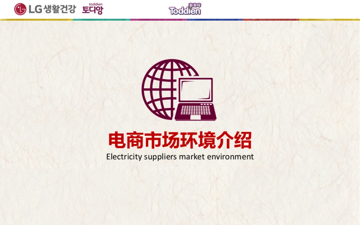 2017LG淘淘安系列产品互联网营销规划_第5页