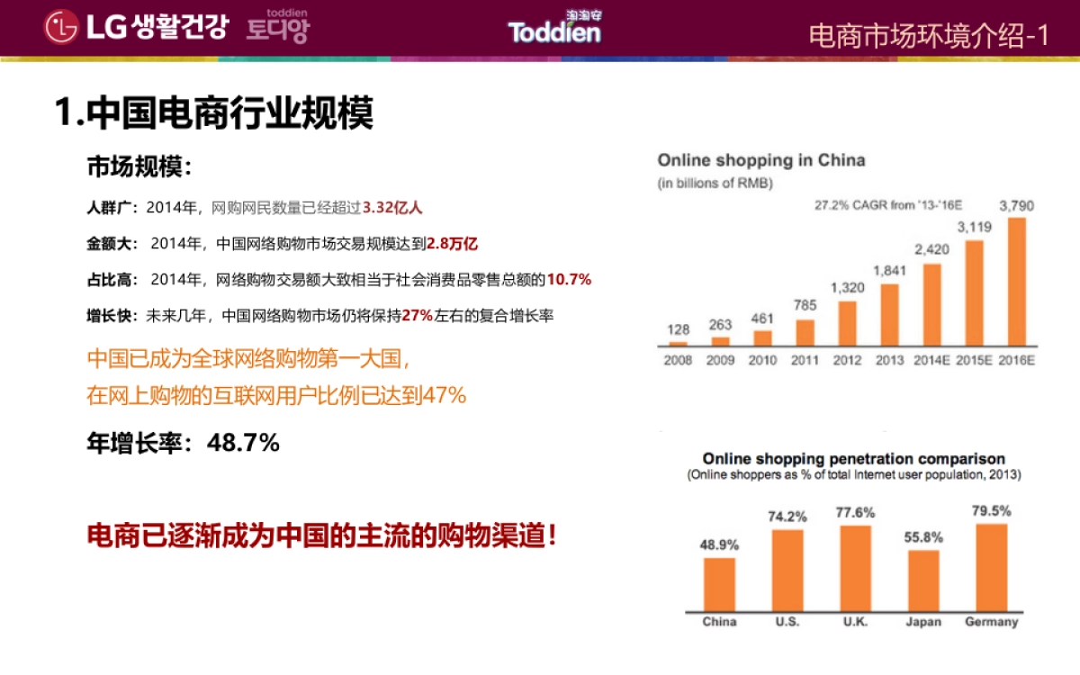 2017LG淘淘安系列产品互联网营销规划_第6页