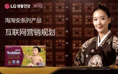 2017LG淘淘安系列产品互联网营销规划