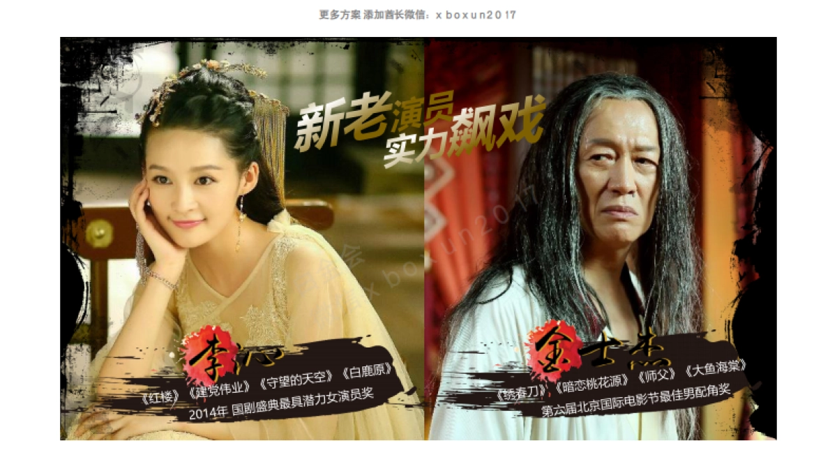 2017风行《特工皇妃楚乔传》营销通案_第10页