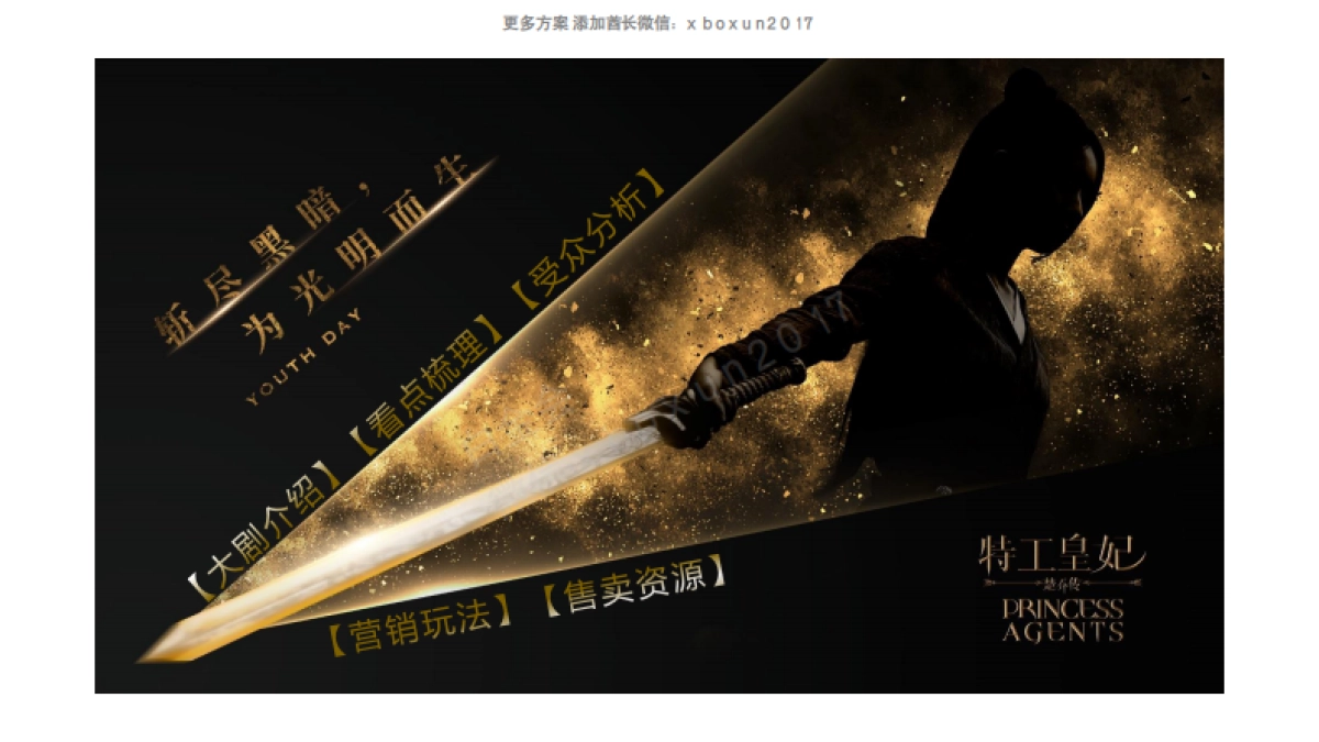 2017风行《特工皇妃楚乔传》营销通案_第2页