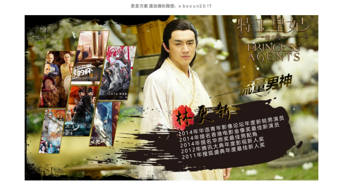 2017风行《特工皇妃楚乔传》营销通案_第8页