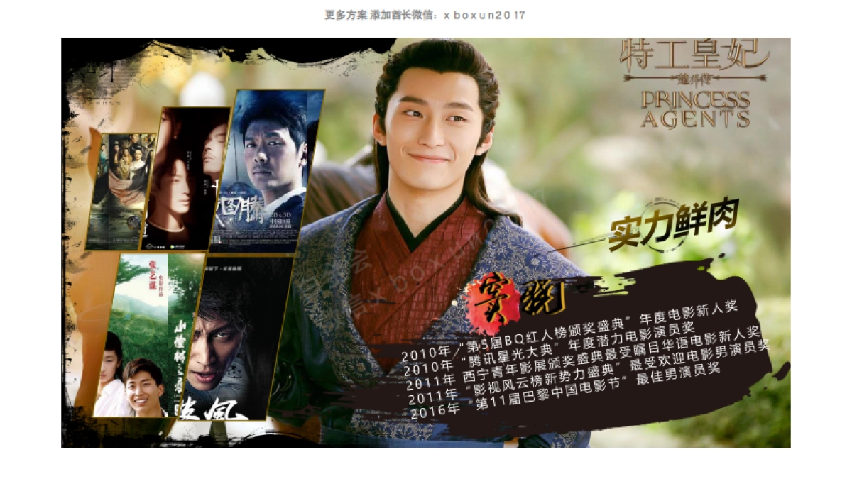 2017风行《特工皇妃楚乔传》营销通案_第9页