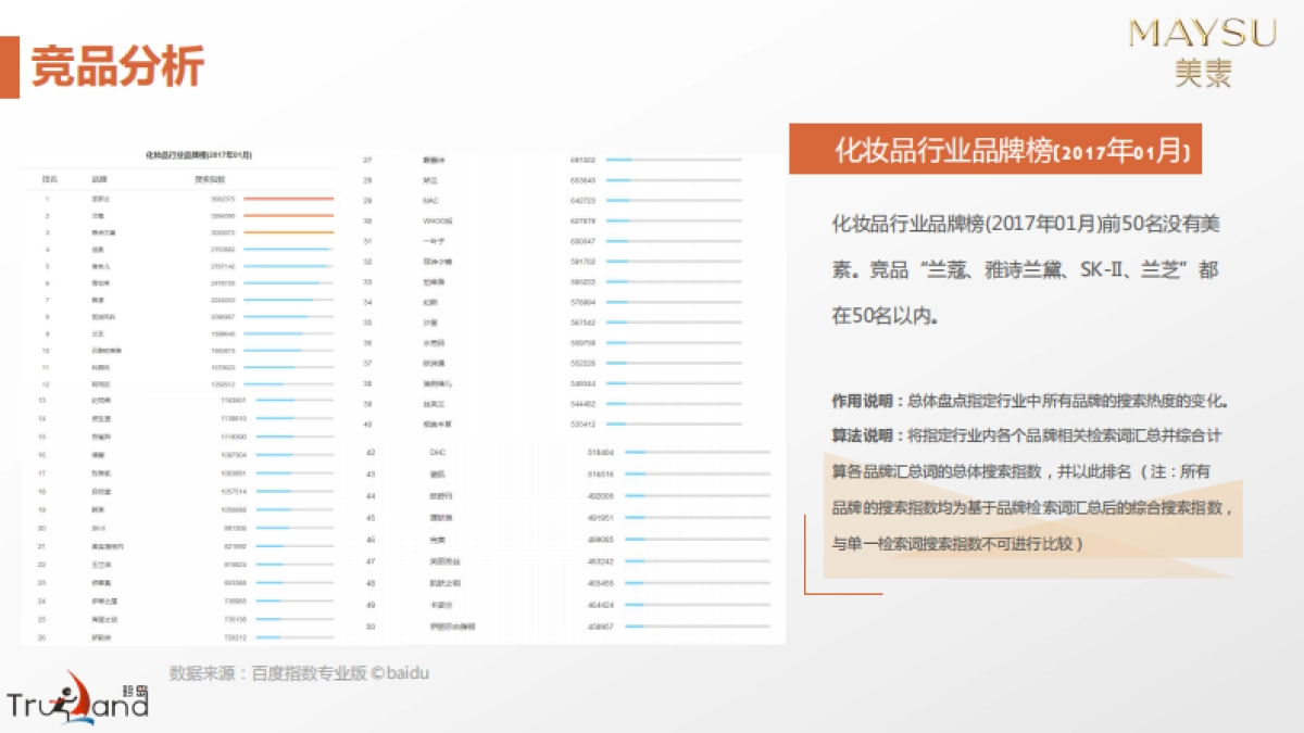 2017-美素化妆品互联网整合营销方案_第10页