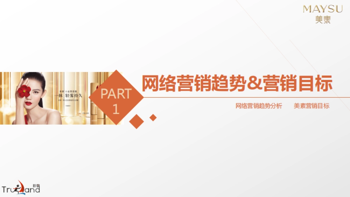 2017-美素化妆品互联网整合营销方案_第3页