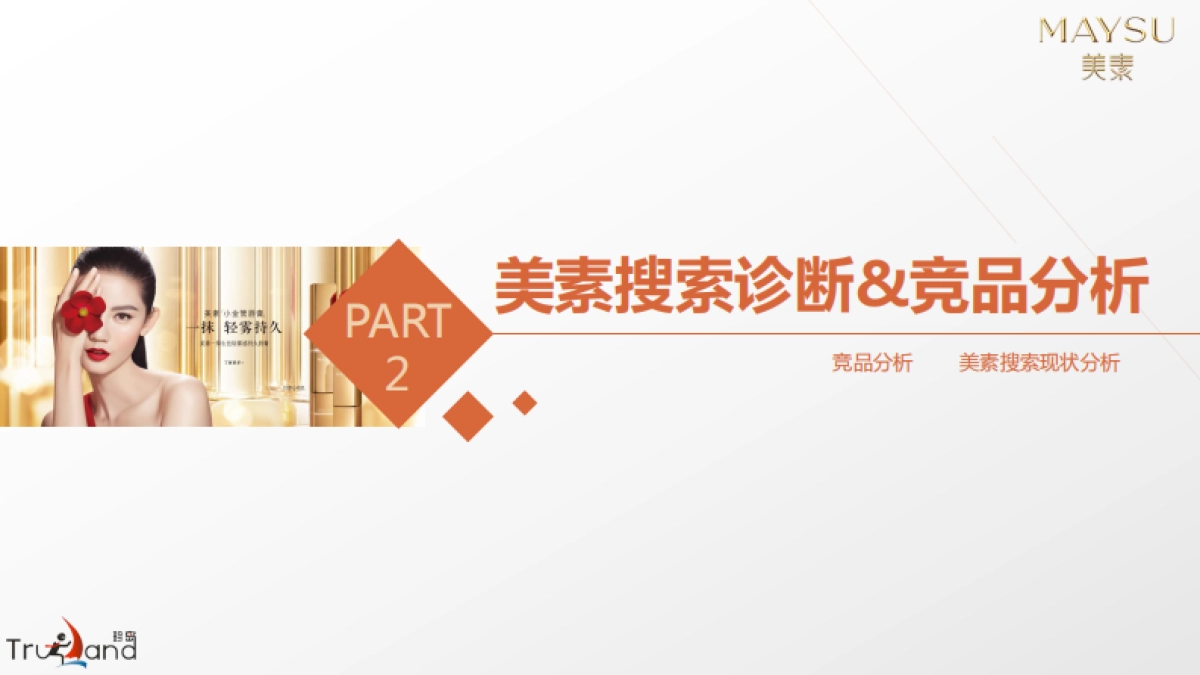 2017-美素化妆品互联网整合营销方案_第9页