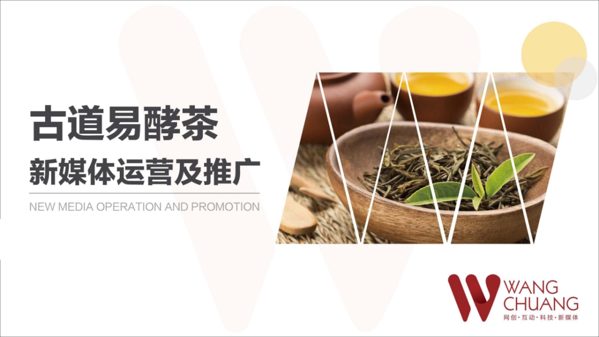 2018年英山古道易酵茶营销方案_第1页