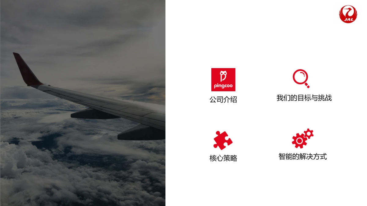 2019日本航空全年营销方案0705_第2页