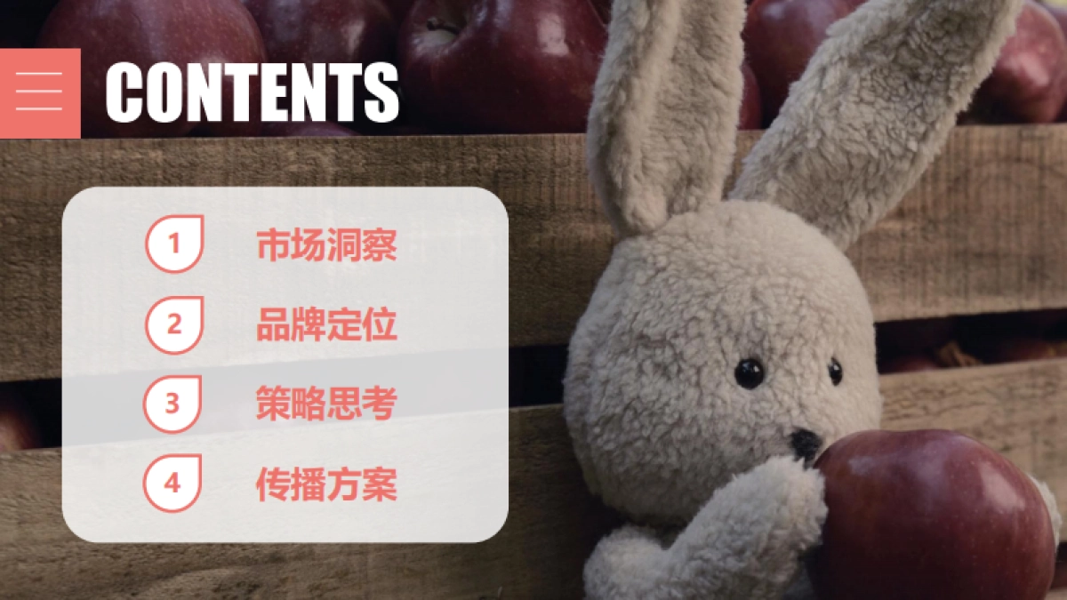 2020伴宝乐上市营销方案_第2页