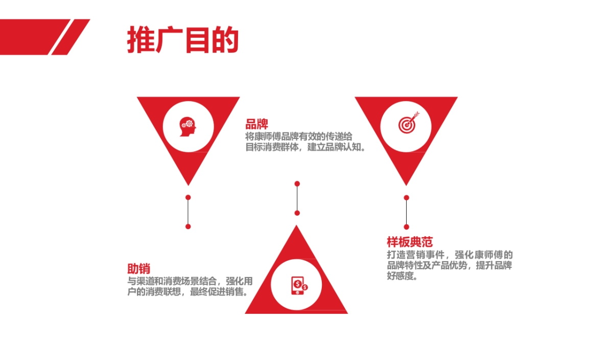 2020年广西康饮CNY营销策划方案_第4页