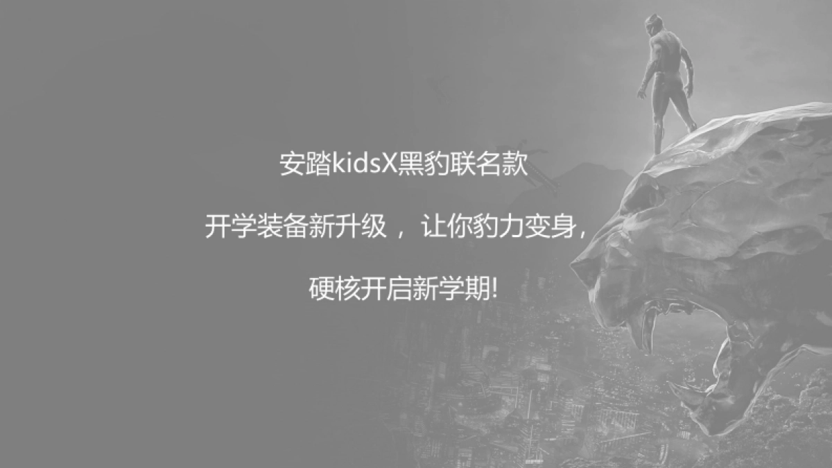 安踏儿童黑豹商品传播方案_第4页