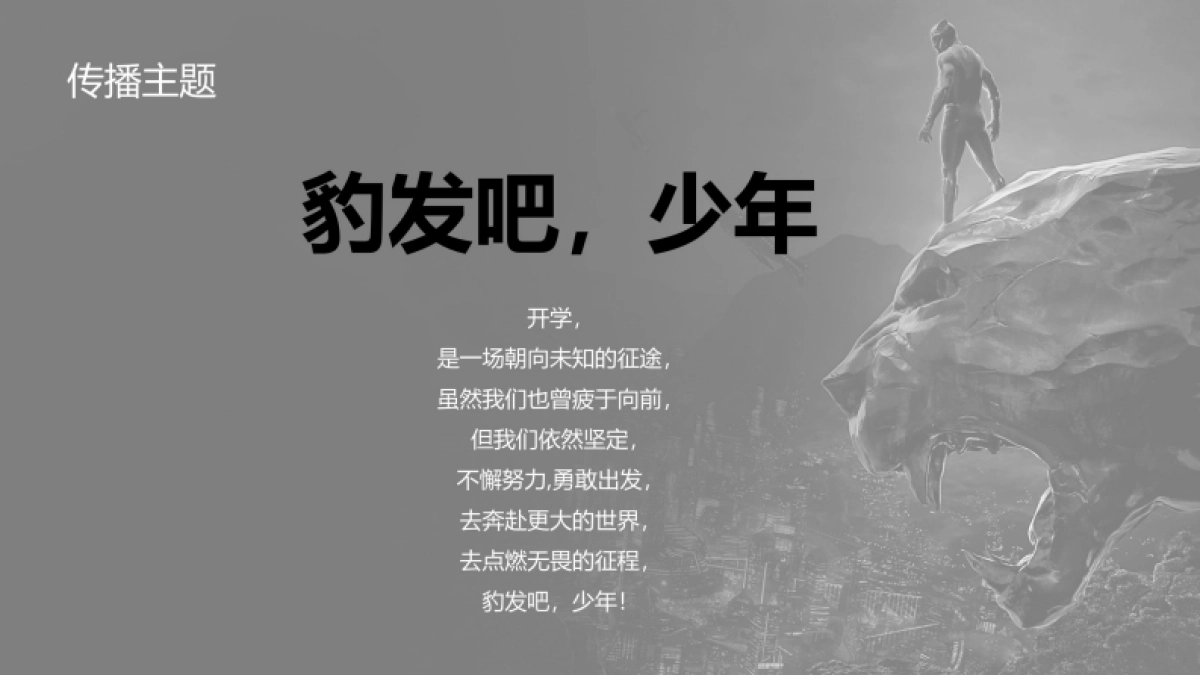 安踏儿童黑豹商品传播方案_第7页