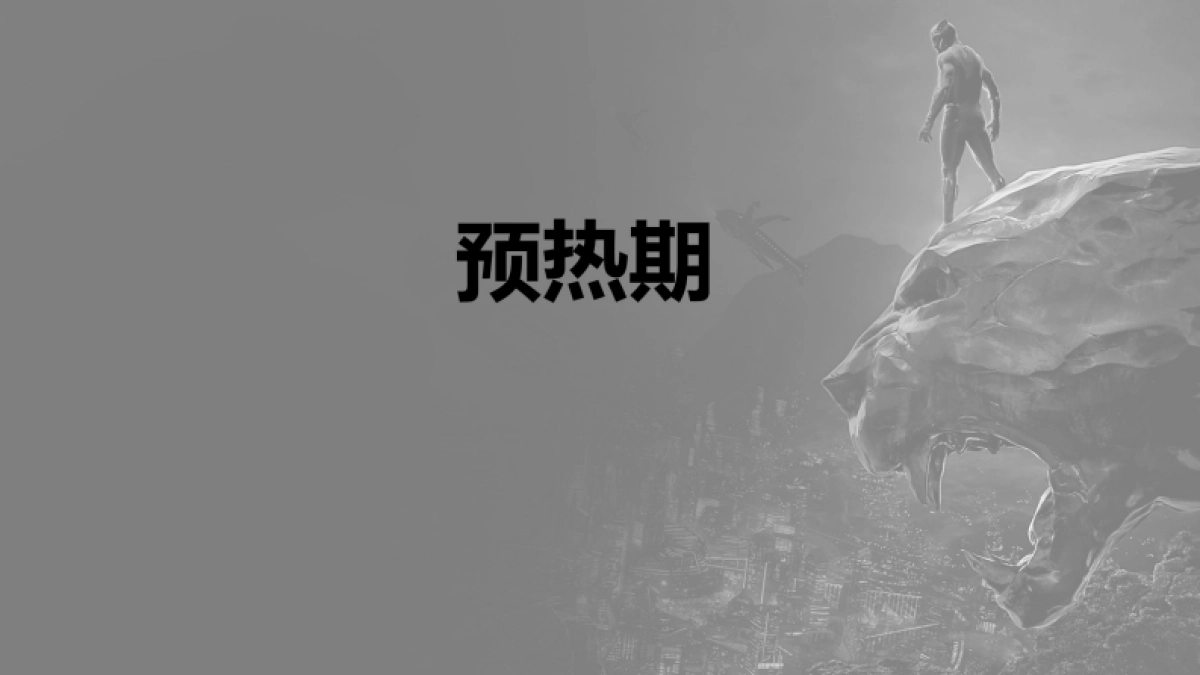 安踏儿童黑豹商品传播方案_第9页