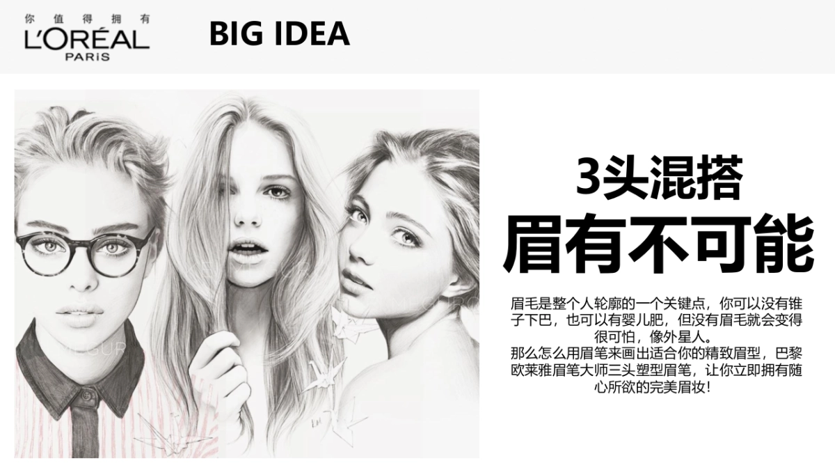 巴黎欧莱雅眉笔方案×瑞丽整合营销方案_第2页