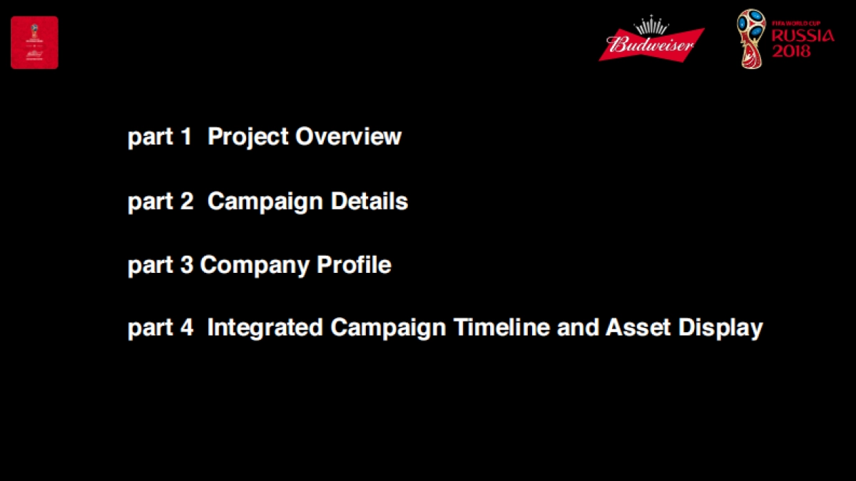 百威FIFA营销方案_第2页