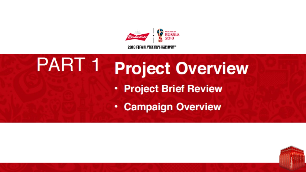 百威FIFA营销方案_第3页