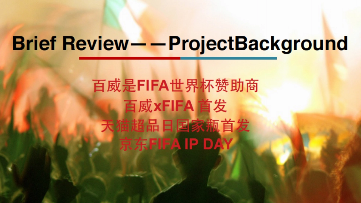 百威FIFA营销方案_第4页