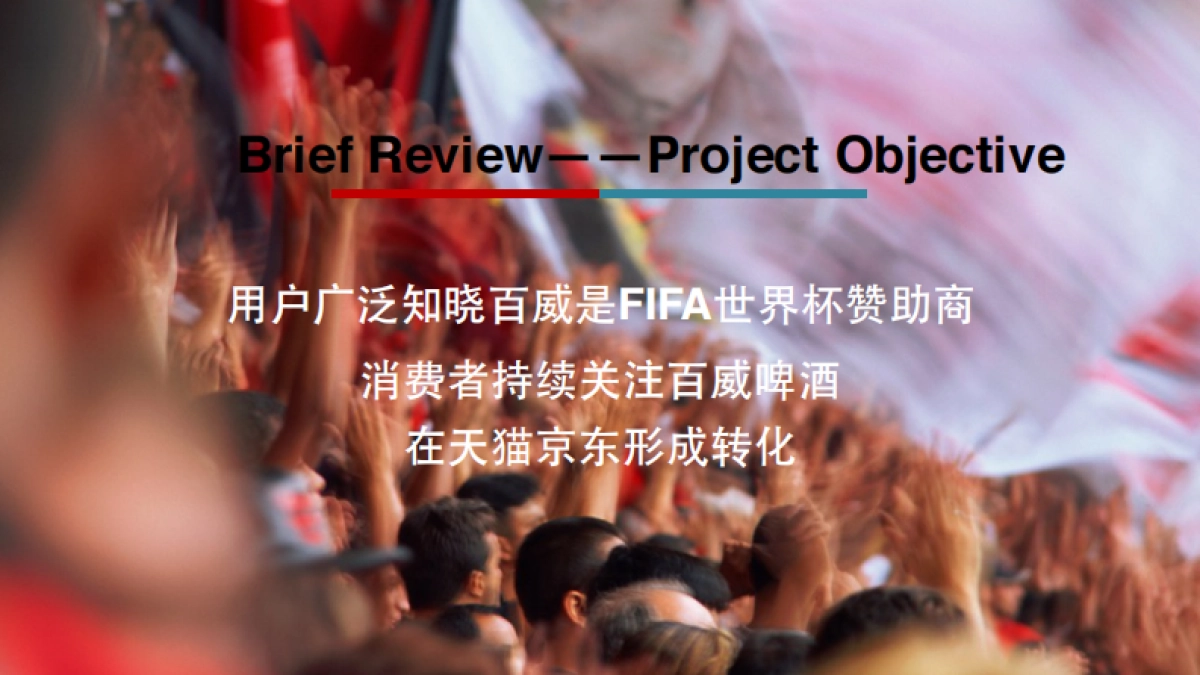 百威FIFA营销方案_第5页