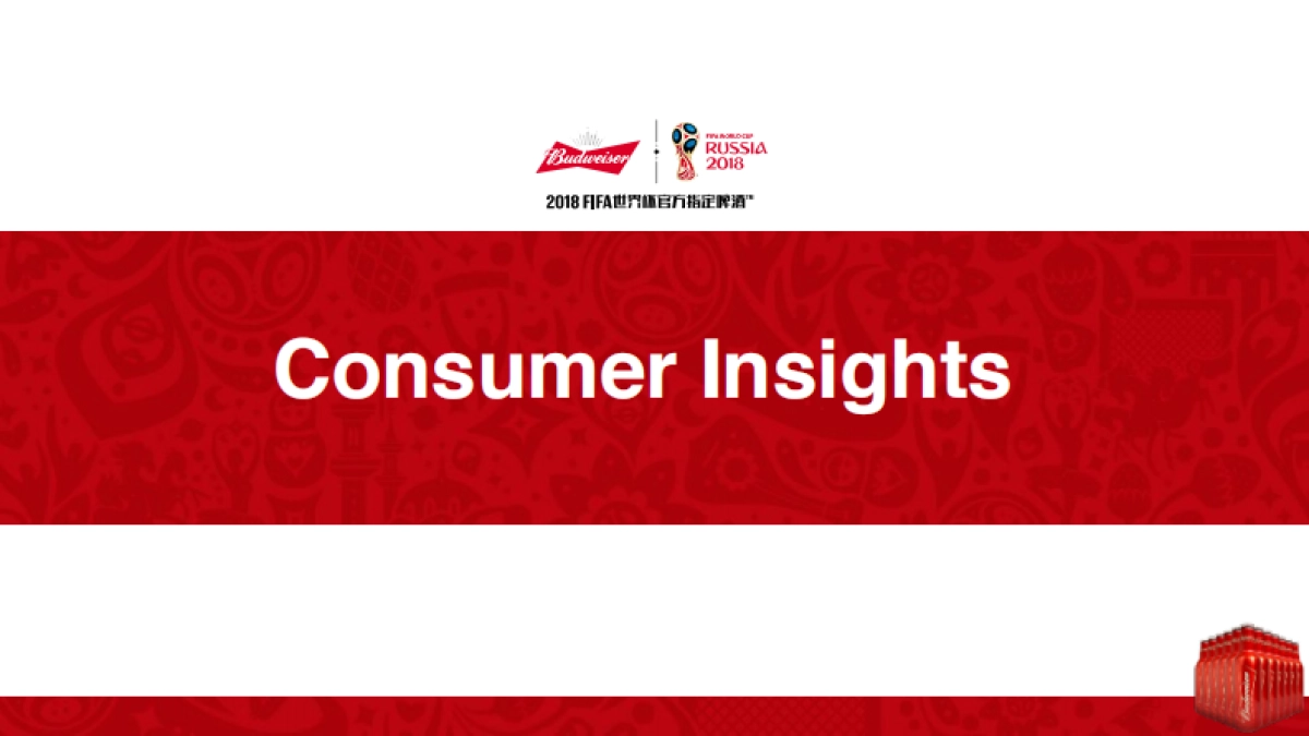 百威FIFA营销方案_第9页