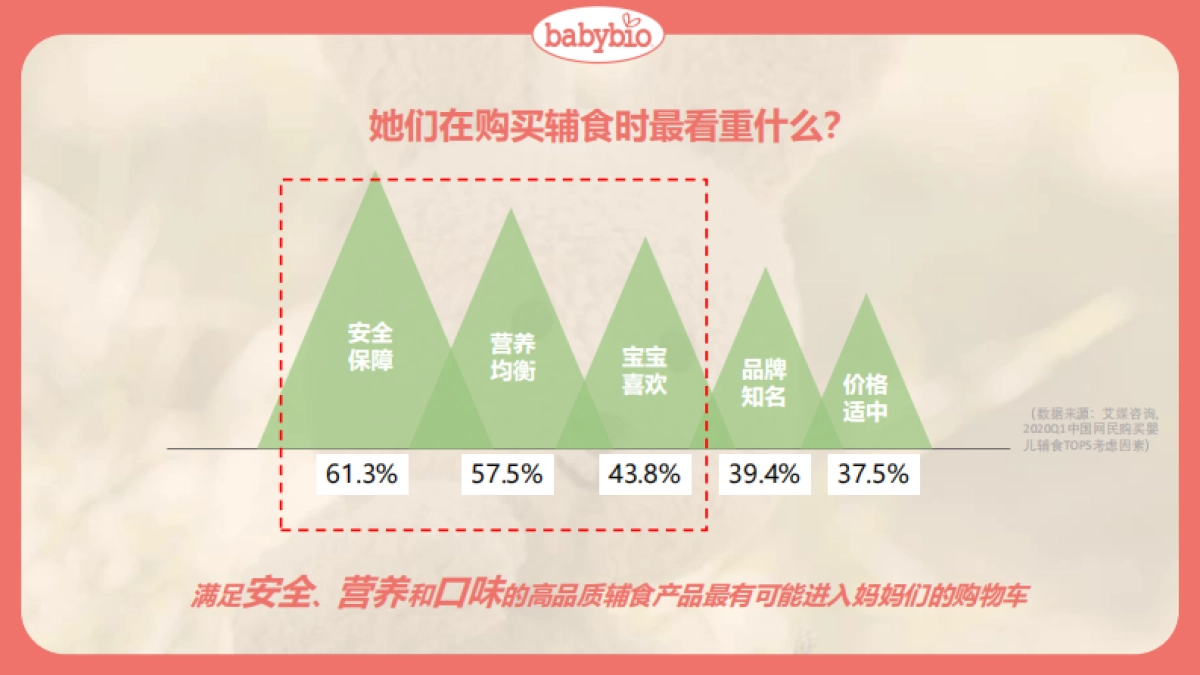 伴宝乐上市营销方案_第10页