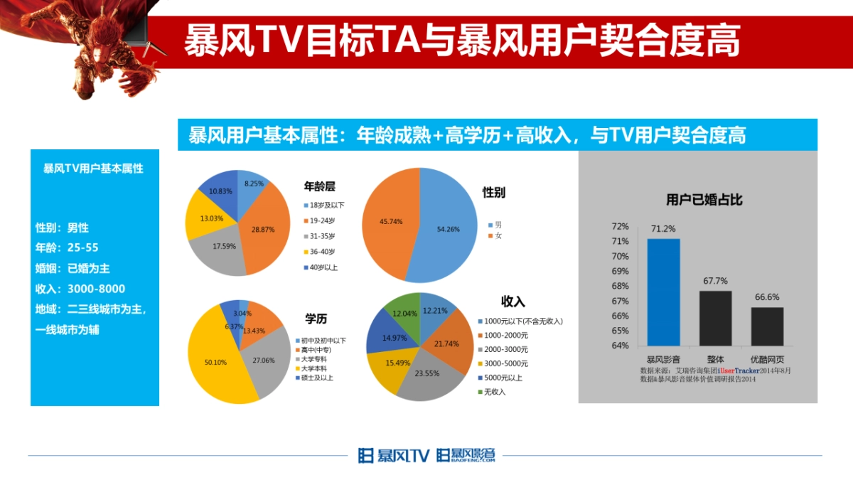 暴风TV网络营销传播规划_第10页