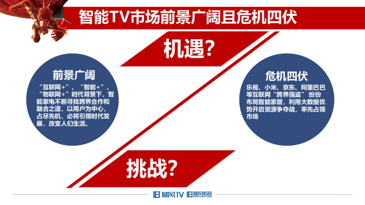 暴风TV网络营销传播规划_第4页