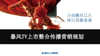 暴风TV网络营销传播规划