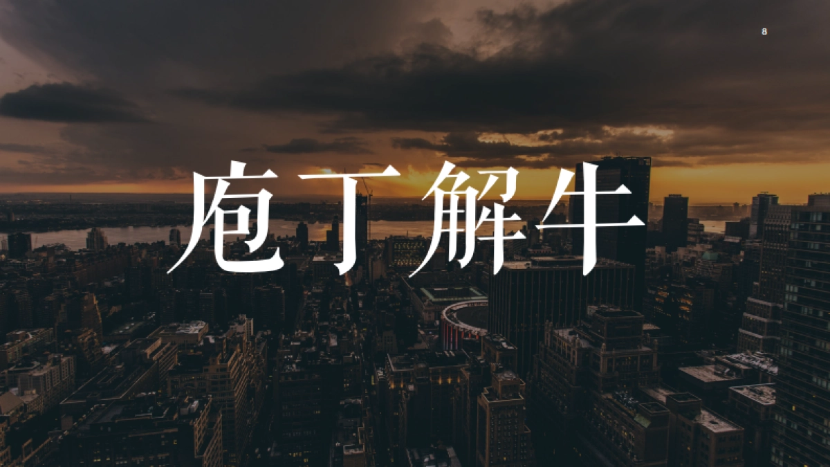 北京电扬-乐城家居城竞标策略案20180804_第8页