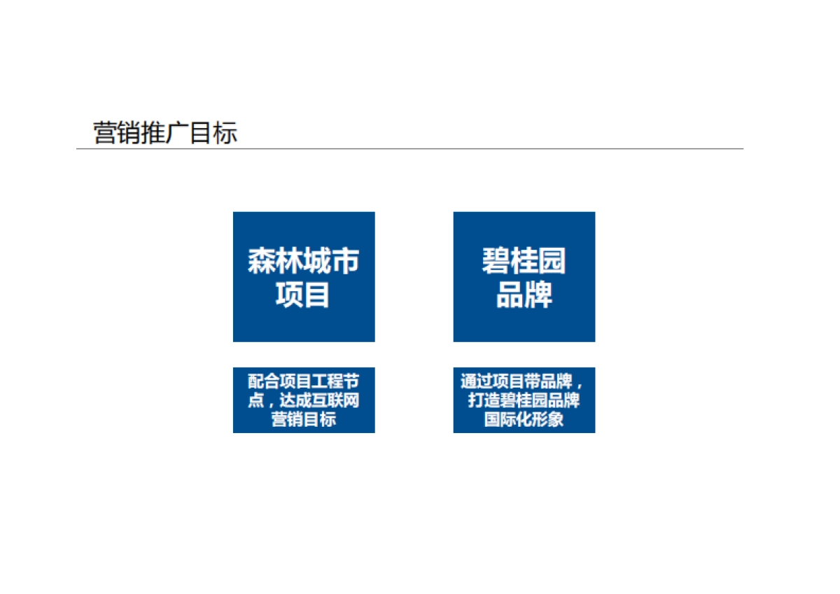 碧桂园森林城市数字营销策略案_第3页