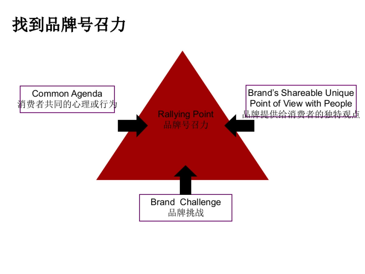 陈醋酸辣牛肉面数字营销提案_第5页