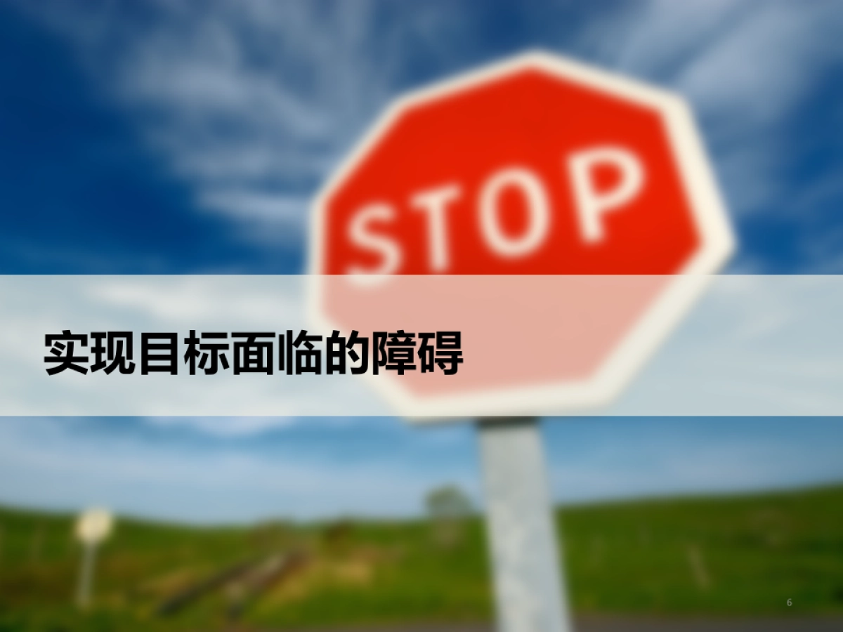 传立媒体】2017年甄稀年度媒介策略方案_第6页