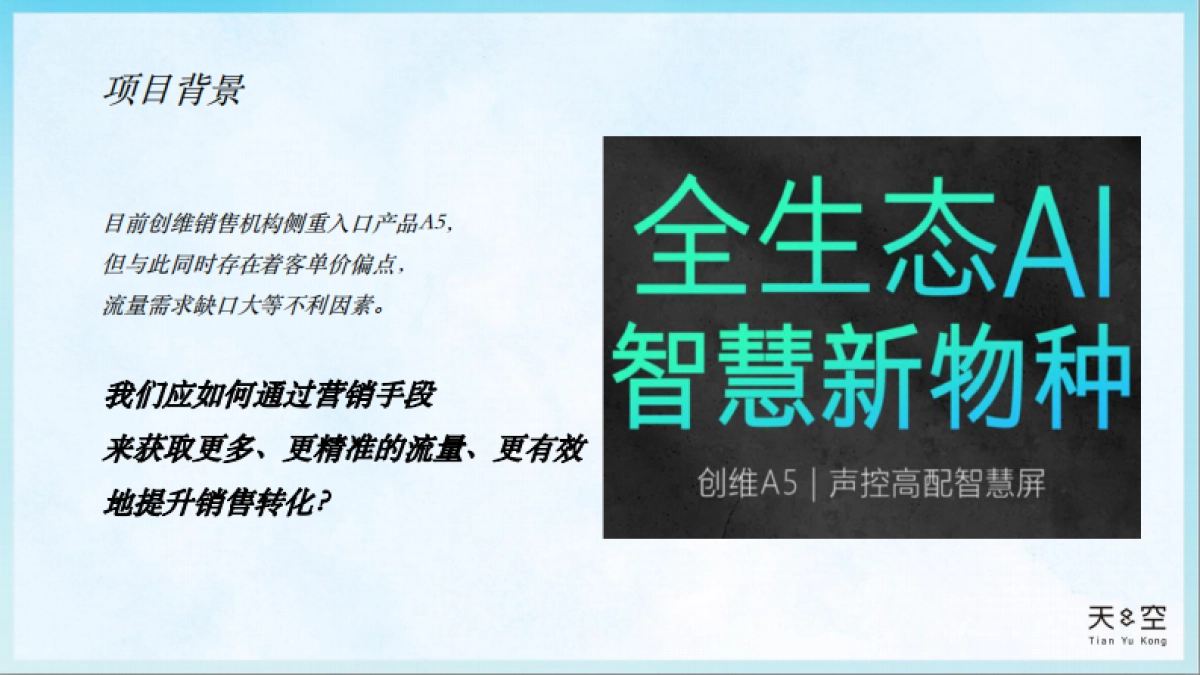 创维电视双11营销创意策略案_第6页