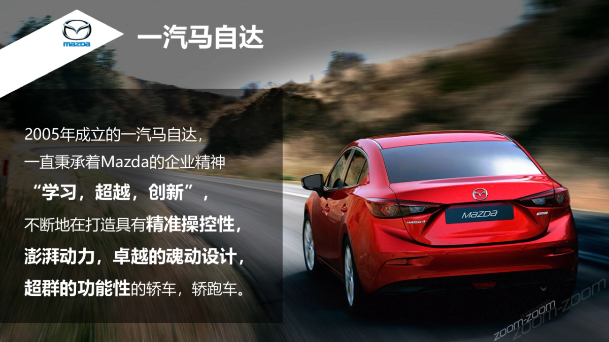 达华北区域营销规划方案_第2页