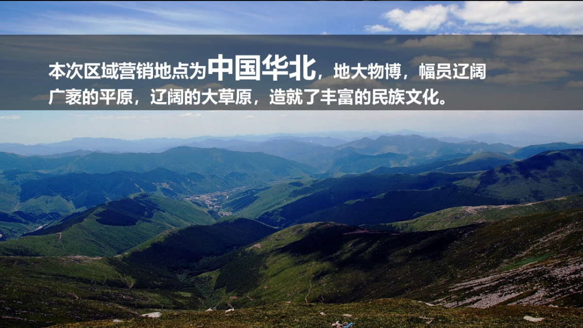 达华北区域营销规划方案_第6页